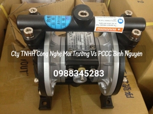 Bơm màng khí nén TDS DS06-AAT-TATS-02
