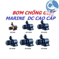 Bơm Marine DC pumd chống giật (Các mã) - Máy bơm chế lọc cao cấp