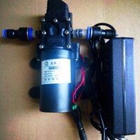 Bơm mini 12v phun sương có sẵn adapter dùng điện lưới 220v