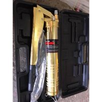 Bơm mỡ 2 Pít tông 900CC bơm hút mạ vàng hộp nhựa (Bộ)