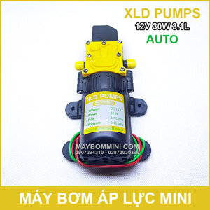 Bơm nước mini áp lực 12V 30W XLD 3.1L