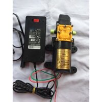 Bơm phun sương làm mát tưới lan bơm zukui đơn 12v kèm nguồn adapter 12v-5a.