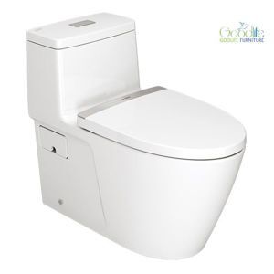 Bồn cầu 1 khối American Standard VF-1808