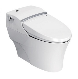 Bồn cầu American Standard WP2012/WF7212 (WP-2012/WF-7212) - 1 khối