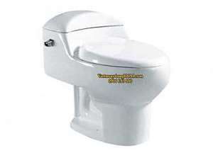 Bồn cầu 1 khối Atmor AT815