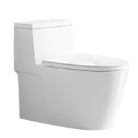 Bồn cầu 1 khối, bệt vệ sinh CR884