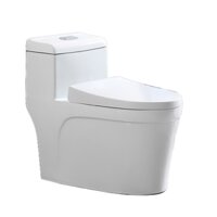 Bồn cầu 1 khối, bệt vệ sinh F-038