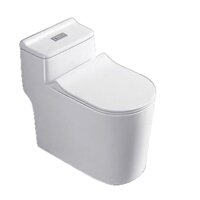 Bồn cầu 1 khối, bệt vệ sinh F-065