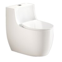 Bồn cầu 1 khối, bệt vệ sinh CR6663