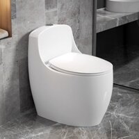 Bồn cầu 1 khối, bệt vệ sinh CR6666