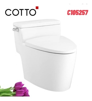 Bồn cầu 1 khối Cotto C105257WH