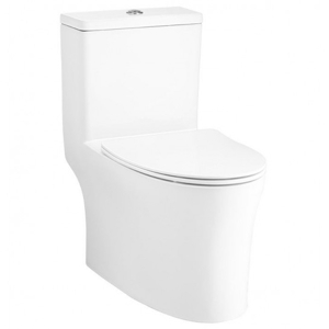 Bồn cầu 1 khối Cotto C105607