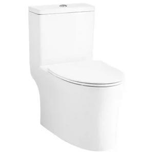 Bồn cầu 1 khối Cotto C105607