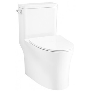 Bồn cầu 1 khối Cotto C105617