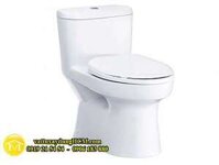 Bồn cầu 1 khối COTTO Thailand C1015 MACC