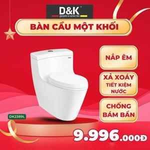 Bồn cầu 1 khối DK C2389L