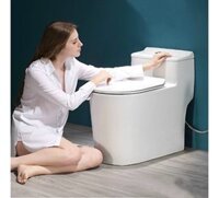 Bồn cầu 1 khối giá rẻ đẹp