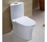 Bồn cầu 1 khối giá rẻ Skyhome