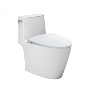 Bồn cầu 1 khối Inax AC-912VN+CW-S32VN - nắp rửa cơ