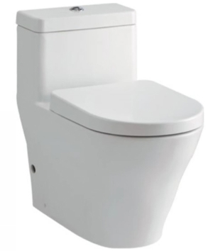 Bồn cầu 1 khối kèm nắp rửa êm Toto CW166RB-TC384CVK