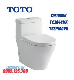 Bồn cầu 1 khối kèm nắp rửa êm Toto CW166RB-TC384CVK