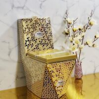 Bồn cầu 1 khối kim cương 2011