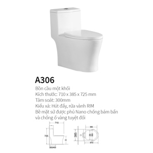 Bồn cầu 1 khối Kolni A306