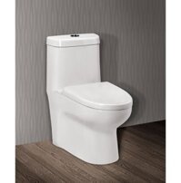 Bồn cầu 1 khối nắp rơi êm Ceravi C502 xả nhấn