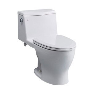 Bồn cầu 1 khối Royal RWC501