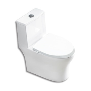 Bồn cầu 1 khối tâm xả 30cm Basic Era