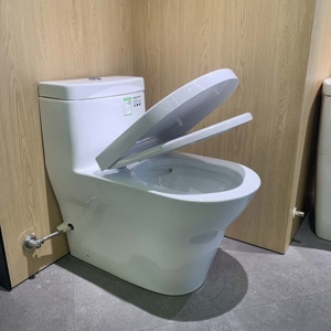 Bồn cấu 1 khối Toto CW166RB/TC384CVK/T53P100VR - nắp đóng êm