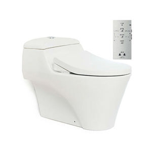 Bồn cầu 1 khối Toto CW823W/FW4