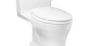 Bồn cầu 1 khối Toto MS855DT2