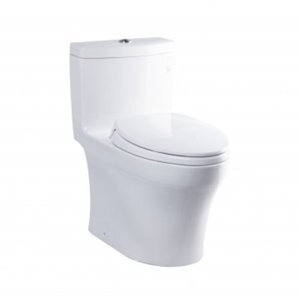 Bồn cầu 1 khối Toto MS889DRT2