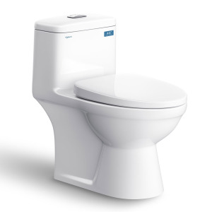 Bồn cầu 1 khối Viglacera BL5V