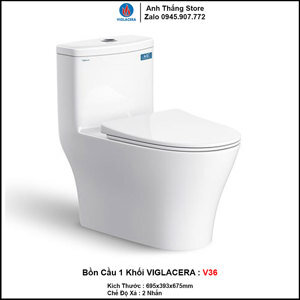 Bồn cầu 1 khối Viglacera V36