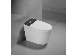 Bồn cầu 1 khối Viglacera Viglacera V61