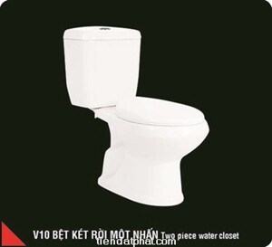 Bồn cầu 2 khối 1 nút nhấn Hảo Cảnh V10