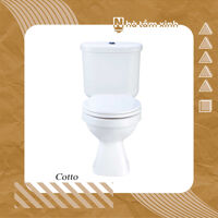 Bồn cầu 2 khối COTTO C13961