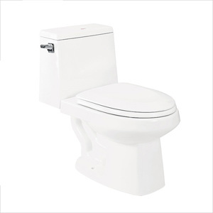 Bồn cầu 2 khối Hảo Cảnh V118