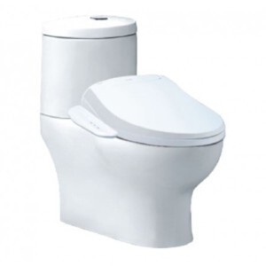 Bồn cầu 2 khối nắp điện tử Caesar CD1349/TAF400H