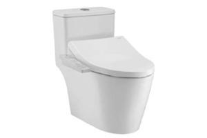 Bồn cầu 2 khối nắp điện tử Cotto C110507(CV3)