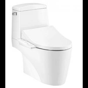 Bồn cầu 2 khối nắp rửa điện tử Cotto C13527(CV3)