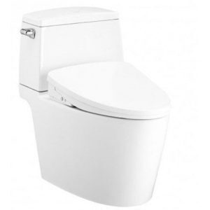 Bồn cầu 2 khối nắp rửa điện tử Cotto C13547(CV10)