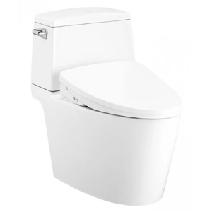 Bồn cầu 2 khối nắp rửa điện tử Cotto C13547(CV10)