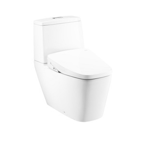 Bồn cầu 2 khối nắp rửa điện tử Cotto C135127(CV9)