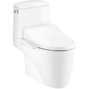 Bồn cầu 2 khối nắp rửa điện tử Cotto C13527(CV3)