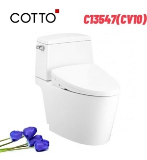 Bồn cầu 2 khối nắp rửa điện tử Cotto C13547(CV10)