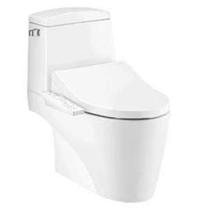 Bồn cầu 2 khối nắp rửa điện tử Cotto C13527(CV3)