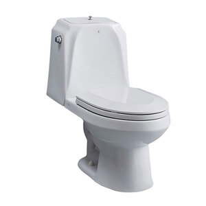 Bồn cầu 2 khối Royal RWC213